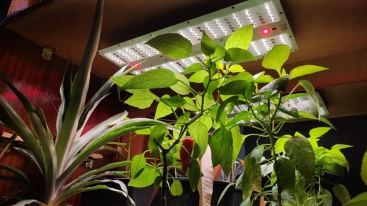 Комплект Quantum board 301B 60 Вт