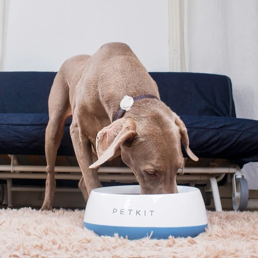 Миска-весы Petkit FRESH Metal 1700 мл для собак голубая