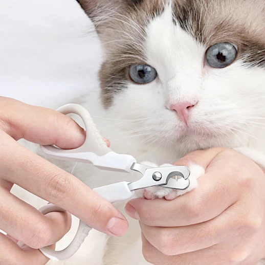 Когтерез Catidea кремовый