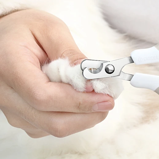 Когтерез Catidea кремовый