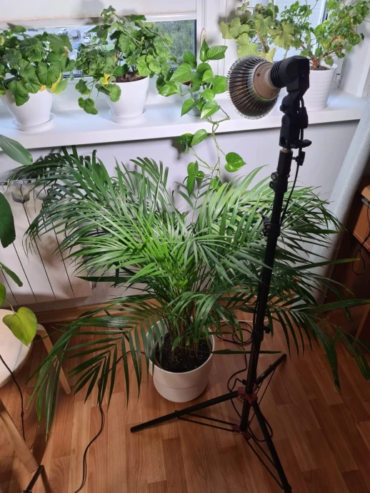 Стойка-тренога под Е27 чёрная