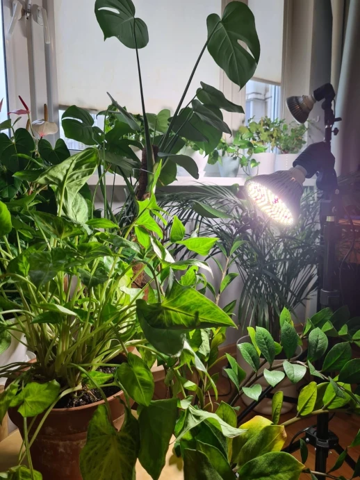 Стойка-тренога под Е27 чёрная