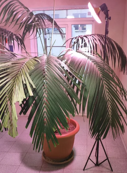 Стойка-тренога под Е27 чёрная