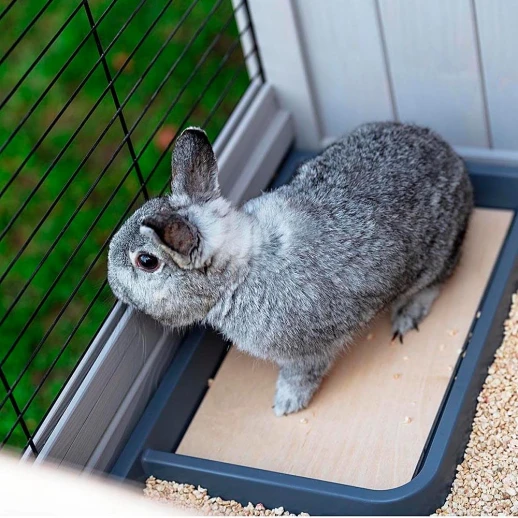 Клетка Ferplast RANCH 120 BASIC для кроликов деревянная