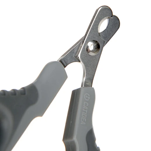 Когтерез Catidea серый