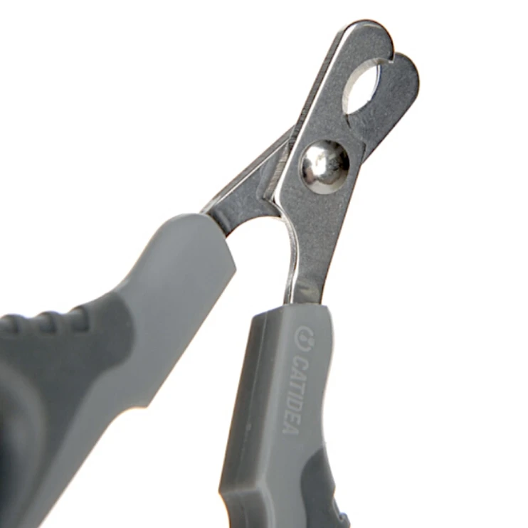 Когтерез Catidea серый