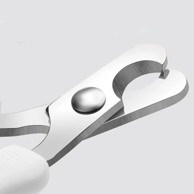 Когтерез Catidea серый