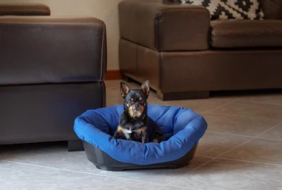 Лежак пластиковый Ferplast SOFA 2 со съемной синей подушкой