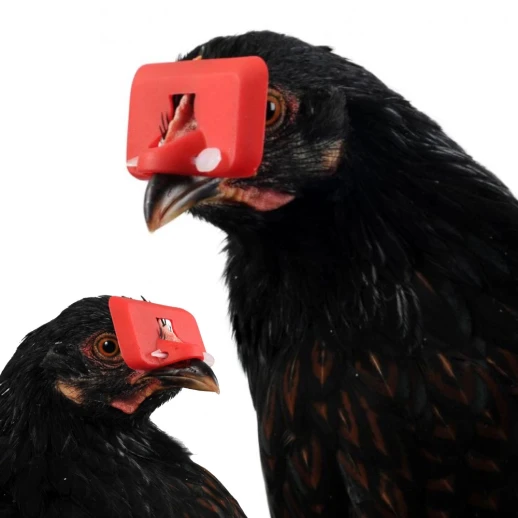 Очки для птиц Contro Fratelli 100 шт.