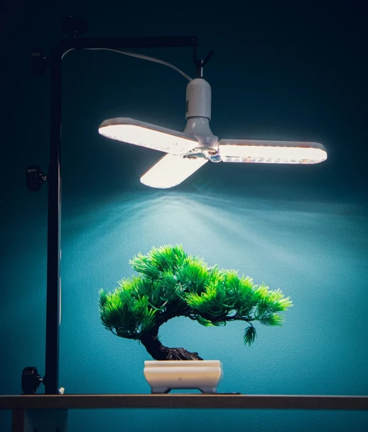 Фитолампа Фулл комфорт Лепесток х3 Е27