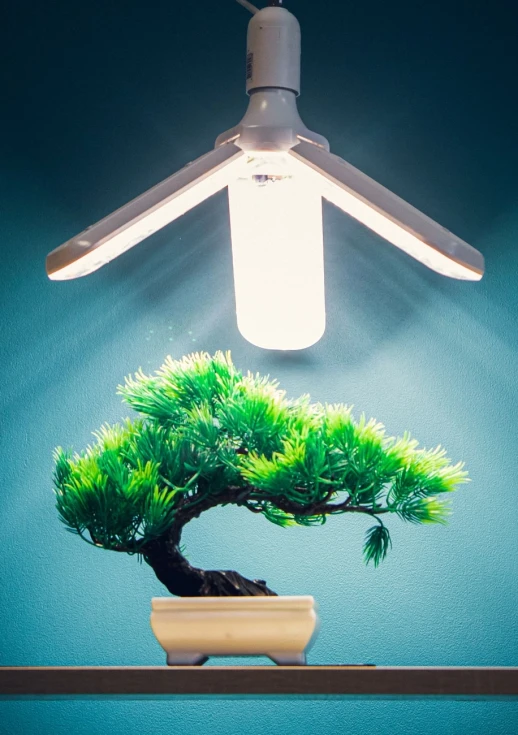 Фитолампа Фулл комфорт Лепесток х3 Е27