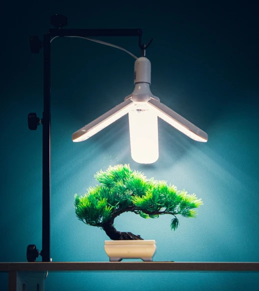 Фитолампа Фулл комфорт Лепесток х3 Е27