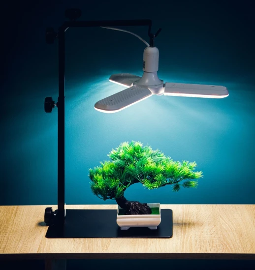 Фитолампа Фулл комфорт Лепесток х3 Е27