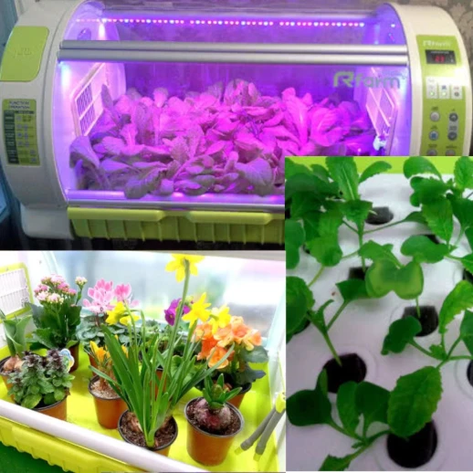 Гидропонная установка Rcom Rfarm 650 MAX