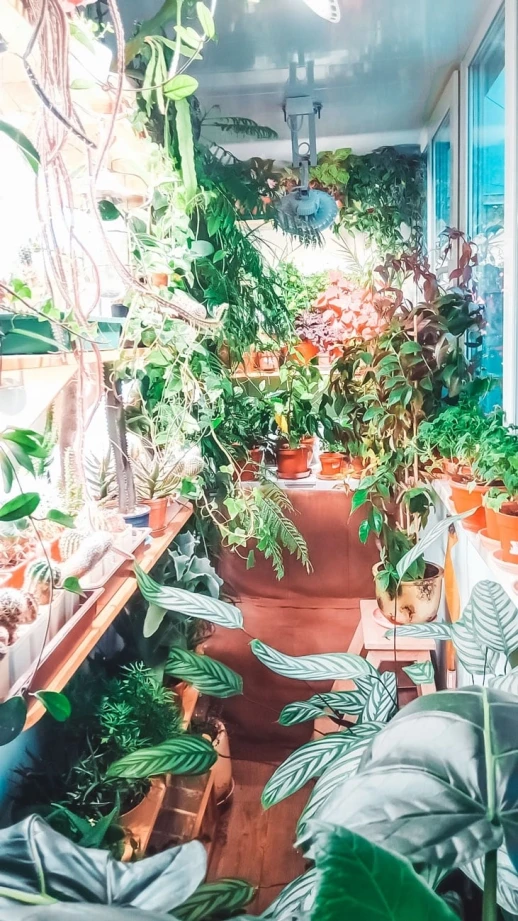 Фитолампа UFO SMD 50 Вт