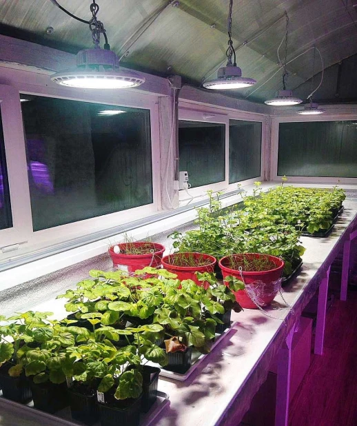 Фитолампа UFO SMD 50 Вт