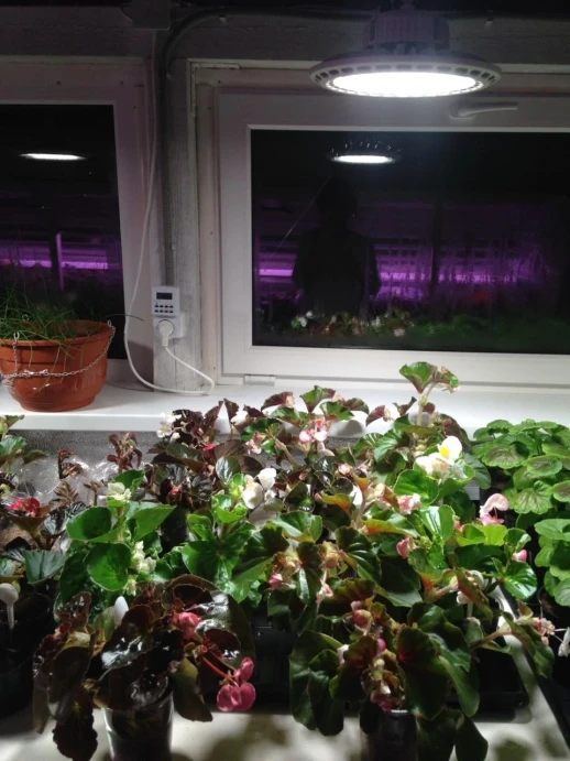 Фитолампа UFO SMD 50 Вт