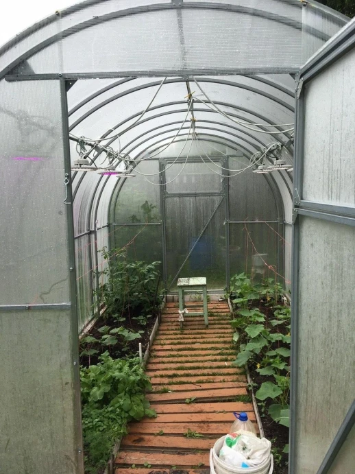 Фитолампа UFO SMD 50 Вт