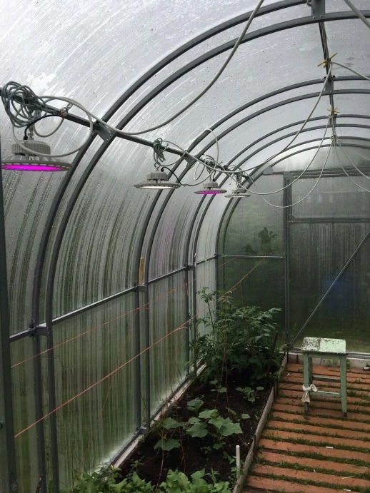 Фитолампа UFO SMD 50 Вт