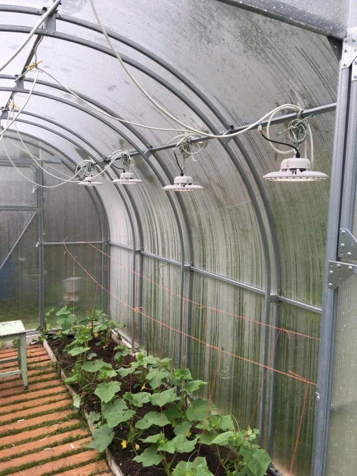 Фитолампа UFO SMD 50 Вт