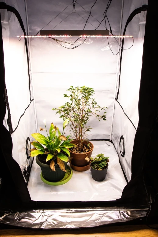 Комплект Quantum board 301B 120 Вт (2х60)