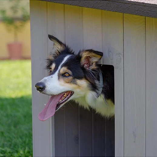 Будка Ferplast ARGO 100 для собак дерево