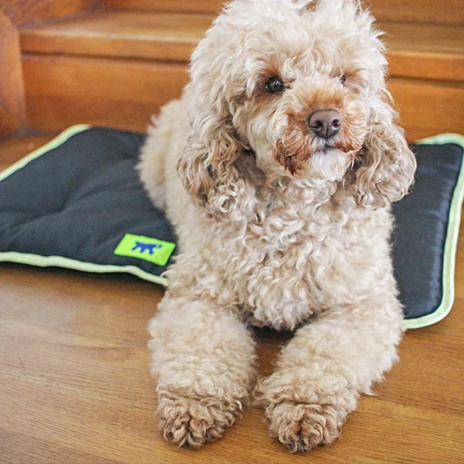 Подстилка Ferplast JOLLY 60 черная