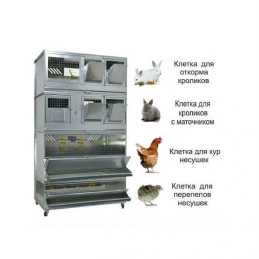 ДОМАШНЯЯ ФЕРМА 2 Престиж