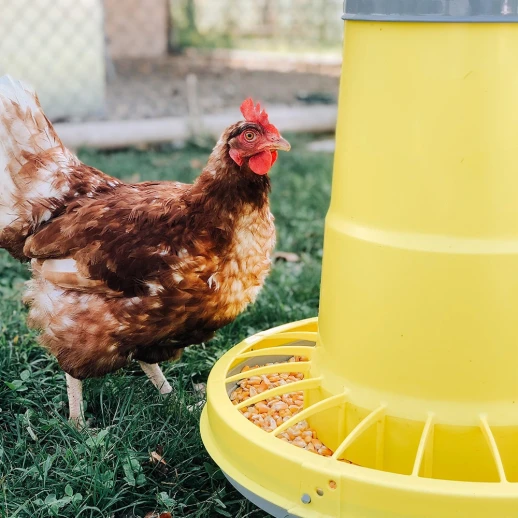 Кормушка бункерная River COMPACTA 15,5 кг. пластик с разделительной решеткой на ножках