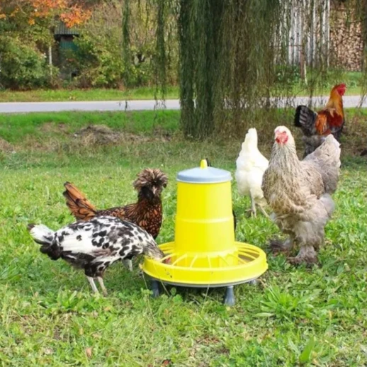 Кормушка бункерная River COMPACTA 15,5 кг. пластик с разделительной решеткой на ножках