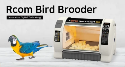 Брудер-питомник для птиц Rcom Bird Brooder S