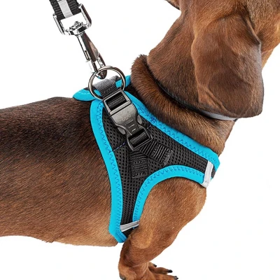 Шлейка Ferplast KAORI M из дышащего нейлона черно-голубая