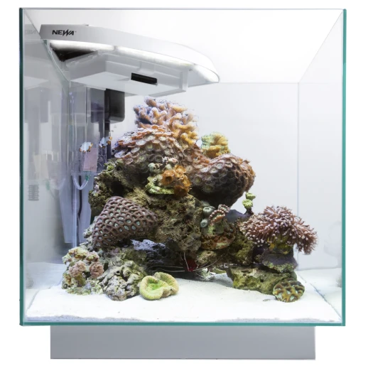 Аквариум Newa More reef NMO 30RW Daylight LED, 28 л, с фильтром, скиммером, нагревателем и освещением рассвет-закат, белый NEW VERSION