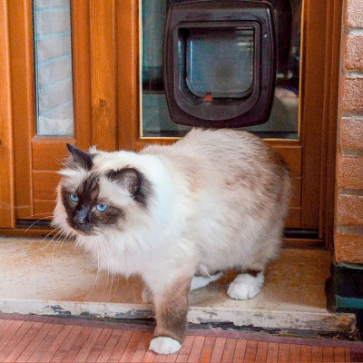 Дверка для животных Ferplast SWING MICROCHIP белая с определителем микрочипа