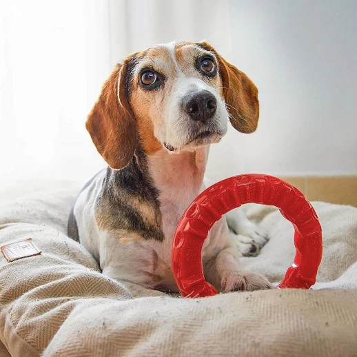 Игрушка-кольцо Ferplast SMILE MEDIUM красная 16 см термопластичный полиуретан