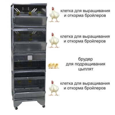 ДОМАШНЯЯ ФЕРМА 5 Стандарт