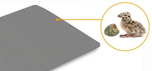 Инкубатор Rcom 20 MAX