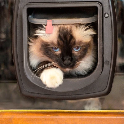 Дверка для животных Ferplast SWING MICROCHIP коричневая с определителем микрочипа