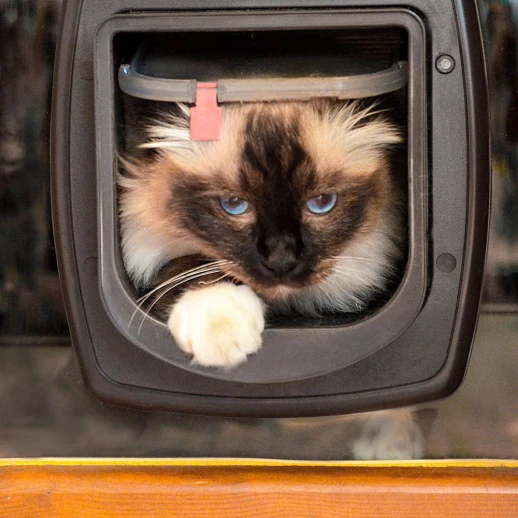 Дверка для животных Ferplast SWING MICROCHIP коричневая с определителем микрочипа