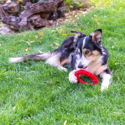 Игрушка-кольцо Ferplast SMILE MEDIUM чёрная 16 см термопластичный полиуретан