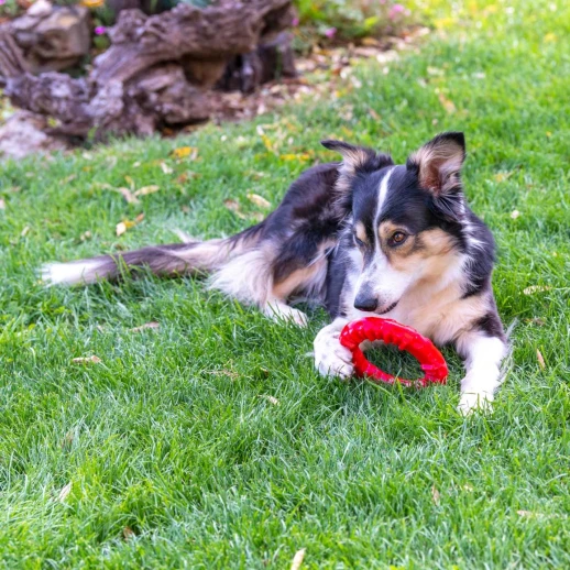 Игрушка-кольцо Ferplast SMILE MEDIUM чёрная 16 см термопластичный полиуретан