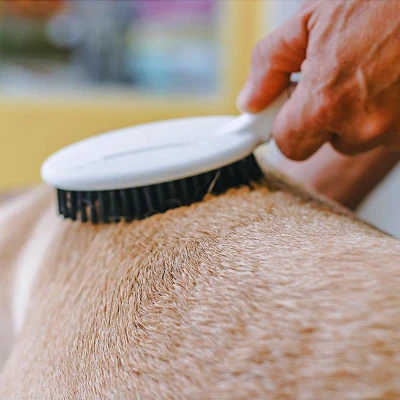 Щетка Ferplast GRO 5760 PREMIUM для кошек