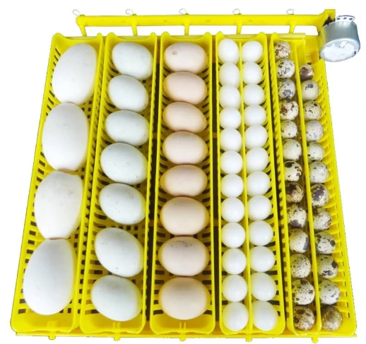 Универсальный лоток для яиц Janoel-42