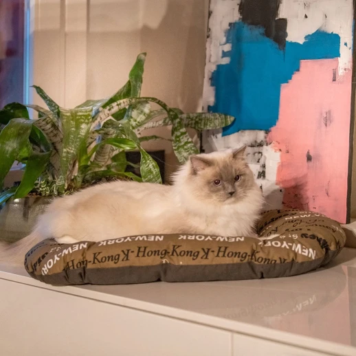 Подушка мягкая Ferplast RELAX 55/4 для собак и кошек Города