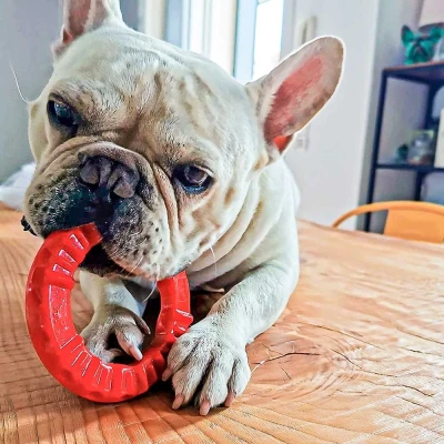 Игрушка-кольцо Ferplast SMILE SMALL чёрная 12 см термопластичный полиуретан