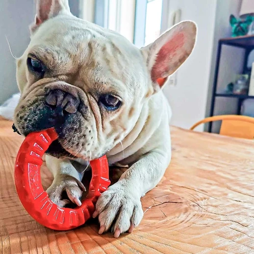 Игрушка-кольцо Ferplast SMILE SMALL чёрная 12 см термопластичный полиуретан