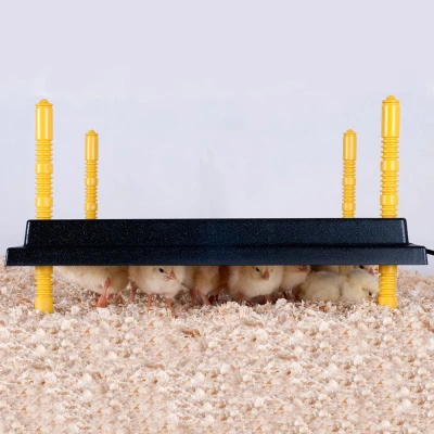 Панель обогревательная Olba Comfort с регулятором 40х40 см 42 Вт для цыплят