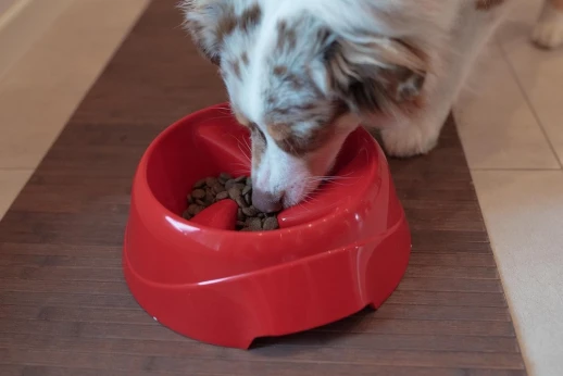 Миска Ferplast MAGNUS SLOW LARGE