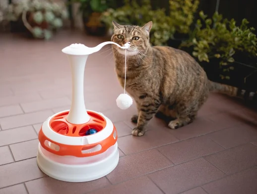 Интерактивная игрушка Ferplast TORNADO для кошек