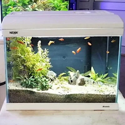 Аквариум Newa Mirabello MIR 40 LED, 40 л, с фильтром, нагревателем и освещением рассвет-закат, белый NEW VERSION